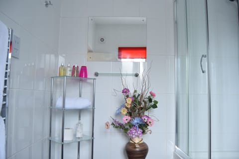 Executive Double Room | Bathroom shower