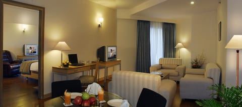 Deluxe Suite (Deluxe Suite) | Living area | LCD TV, fireplace