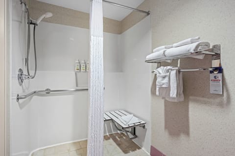 Room, 1 King Bed, Accessible, Non Smoking | Bathroom | Combined shower/tub, free toiletries, towels