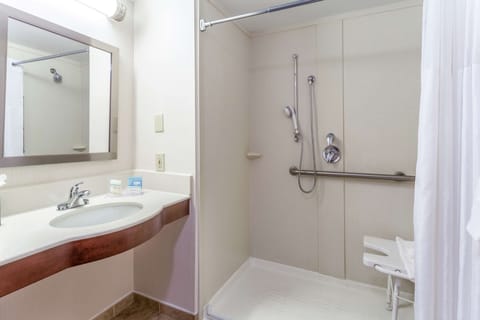 Room, 2 Queen Beds, Accessible, Non Smoking (Roll-In Shower, Mobility & Hearing) | Bathroom shower