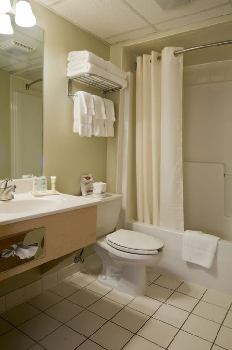 Combined shower/tub, free toiletries, hair dryer, towels