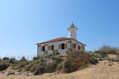 On the beach, beach umbrellas, beach volleyball