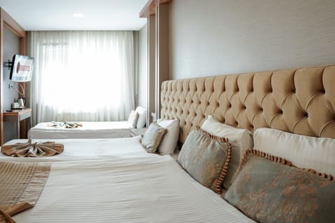 Standard Triple Room | Room amenity