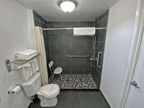 Combined shower/tub, free toiletries, hair dryer, towels