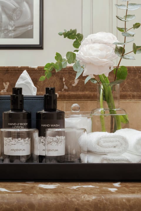 Combined shower/tub, free toiletries, hair dryer, bathrobes