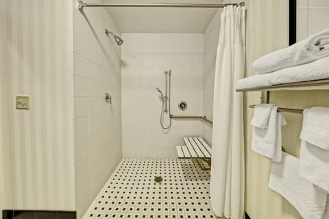 Room, 1 King Bed (Mobility Accessible, Roll-In Shower) | Accessible bathroom