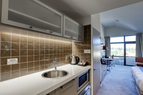 Studio Suite | Private kitchen | Fridge, microwave, eco-friendly cleaning products