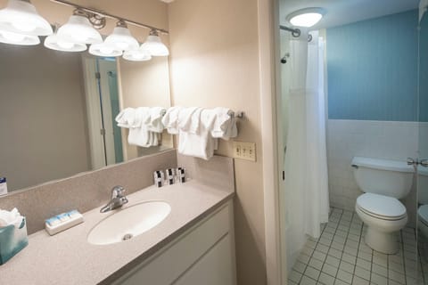 Combined shower/tub, free toiletries, hair dryer, towels