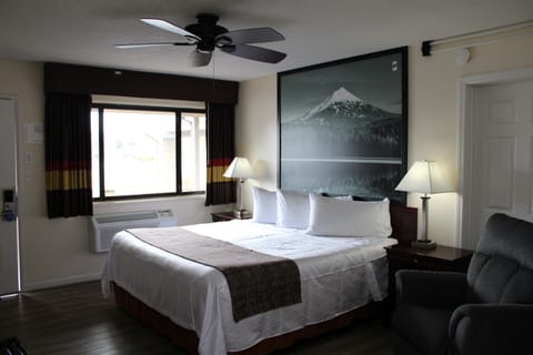 Room, 1 King Bed, Non Smoking | Desk, blackout drapes, iron/ironing board, free WiFi