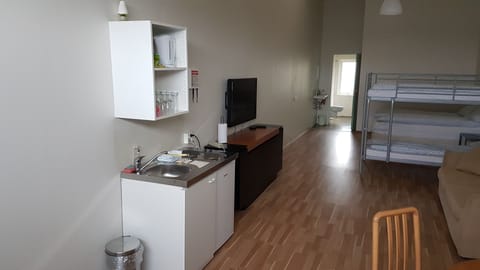 Family Studio | Private kitchenette | Full-size fridge, microwave, stovetop, toaster