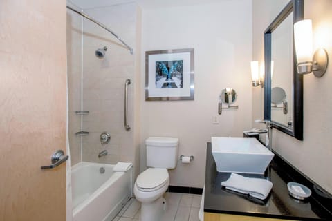 Combined shower/tub, free toiletries, hair dryer, towels