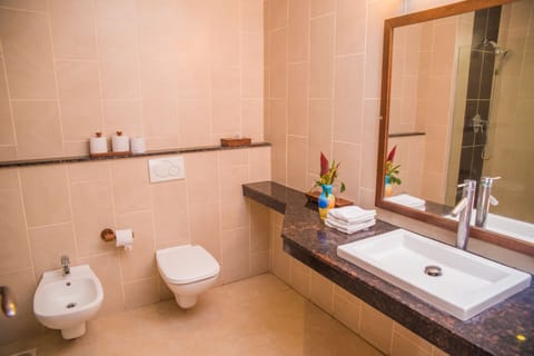 Deluxe Room | Bathroom | Shower, free toiletries, towels