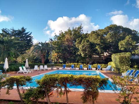 Outdoor pool, sun loungers