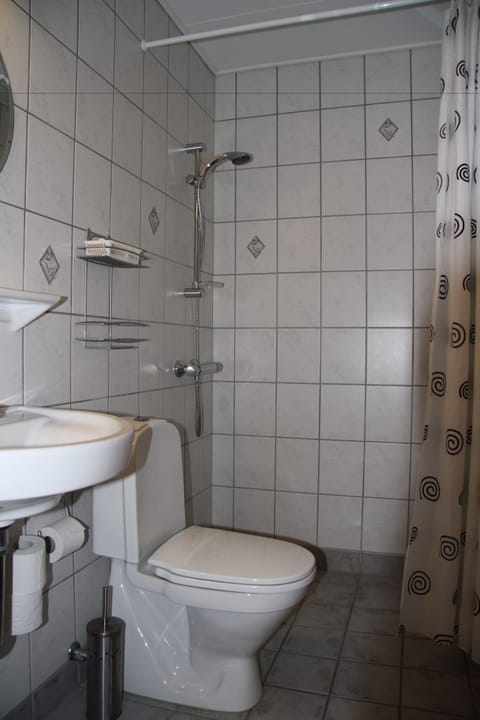 Single room with balcony and lake view (A) in the main building | Bathroom shower