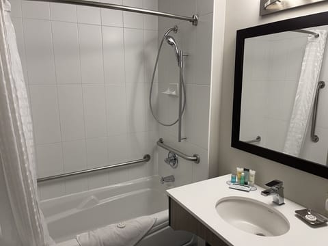 Room, 1 Queen Bed, Accessible, Non Smoking | Bathroom | Eco-friendly toiletries, hair dryer, towels