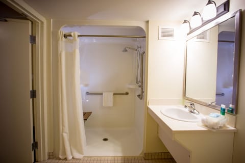 Standard Room, 1 King Bed, Accessible (Mobility, Roll-In Shower) | Bathroom | Free toiletries, hair dryer, towels