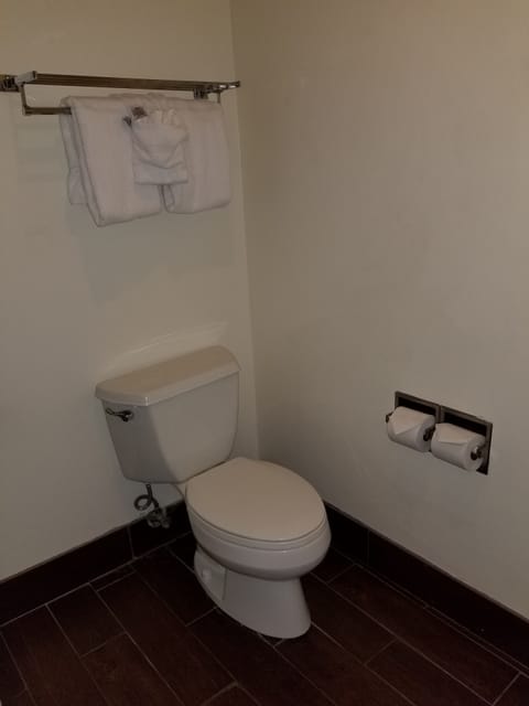 Combined shower/tub, free toiletries, hair dryer, towels