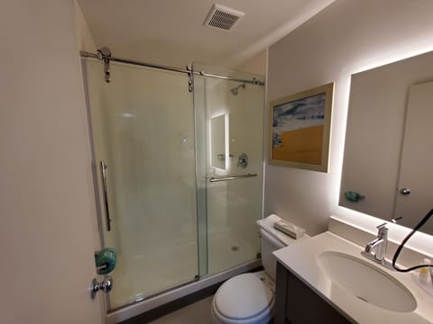 Combined shower/tub, free toiletries, hair dryer, towels