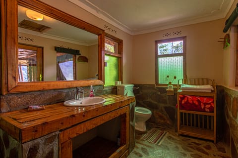 Luxury Room | Bathroom | Shower, free toiletries, bathrobes, slippers