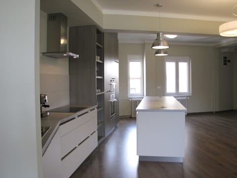 Exclusive Apartment, Non Smoking | Private kitchenette | Fridge, microwave, oven, stovetop