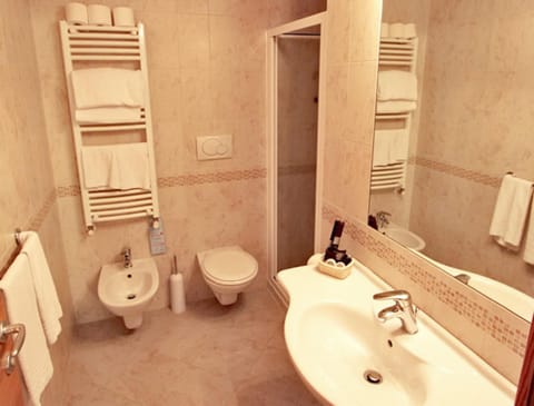 Shower, free toiletries, hair dryer, bidet