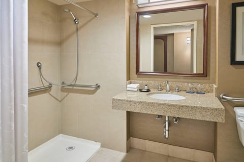 Traditional Room, 1 King Bed | Bathroom | Combined shower/tub, free toiletries, hair dryer, towels