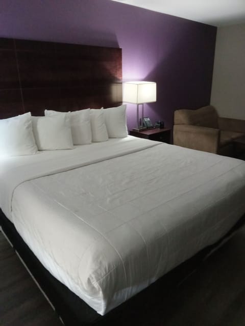 Room, 1 King Bed, Non Smoking | Bathroom | Combined shower/tub, free toiletries, hair dryer, towels