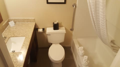 Combined shower/tub, free toiletries, hair dryer, towels