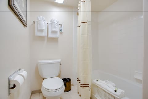 Combined shower/tub, eco-friendly toiletries, hair dryer, towels