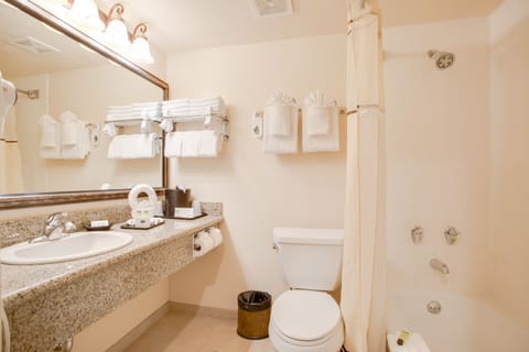 Family Suite, 2 Bedrooms | Bathroom | Combined shower/tub, eco-friendly toiletries, hair dryer, towels