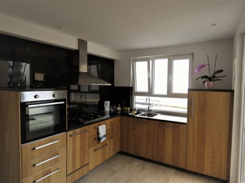 Deluxe Duplex, 2 Bedrooms (Third Floor) | Private kitchen | Fridge, microwave, oven, stovetop