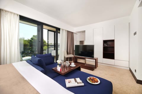 Superior Room, Balcony, Park View | 1 bedroom, minibar, in-room safe, desk