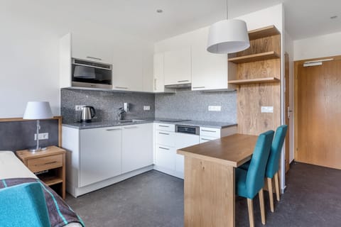 Studio Apartment | Private kitchen | Fridge, microwave, stovetop, dishwasher