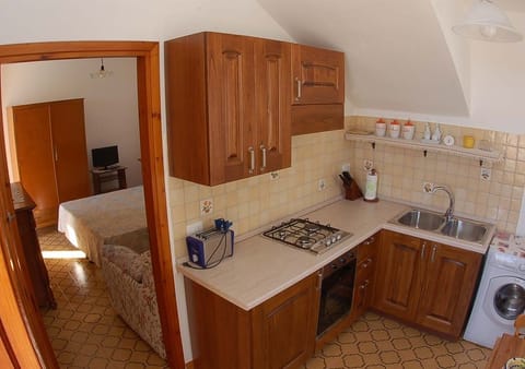 Apartment, 1 Bedroom, Terrace, Sea View | Private kitchen | Fridge, microwave, stovetop, coffee/tea maker