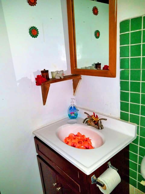 Garden Cabin | Bathroom | Shower, rainfall showerhead, free toiletries, towels