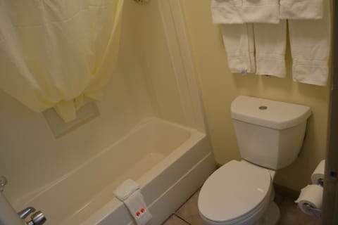 Combined shower/tub, free toiletries, hair dryer, towels