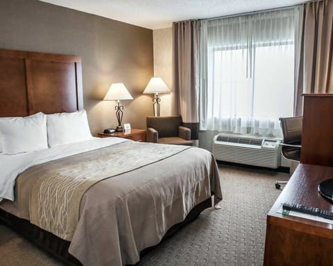 Standard Room, 1 Queen Bed, Non Smoking | Premium bedding, down comforters, pillowtop beds, desk