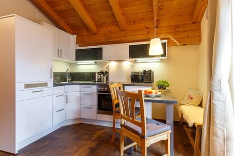 Traditional Studio, 1 Bedroom, Mountainside (Rauschberg) | Private kitchen | Fridge, microwave, oven, stovetop