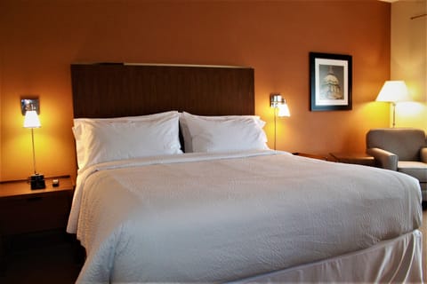 Traditional Room, 1 King Bed | Premium bedding, in-room safe, desk, laptop workspace