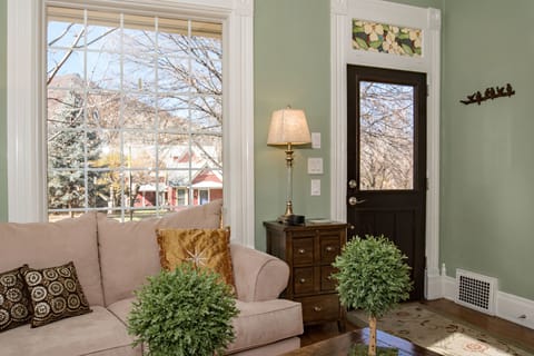 Living room and entrance