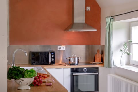 Family House, Fireplace, Park View | Private kitchen | Full-size fridge, microwave, oven, stovetop