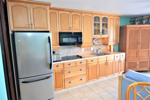 Luxury Apartment | Private kitchen | Full-size fridge, microwave, oven, stovetop