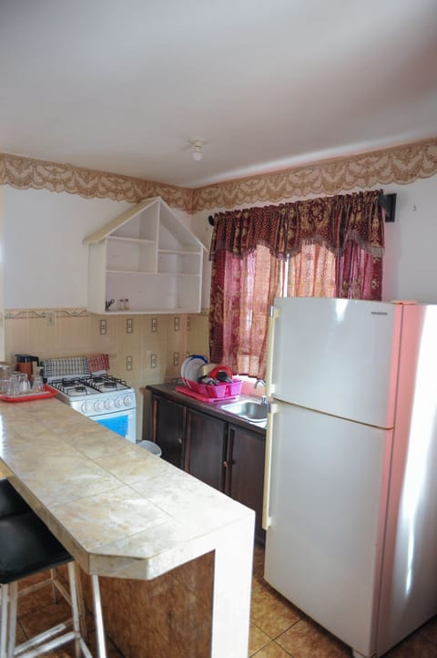 Junior Apartment, 1 King Bed | Private kitchenette | Fridge, coffee/tea maker