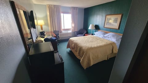 Traditional Room, 1 Queen Bed | In-room safe, desk, cribs/infant beds, rollaway beds
