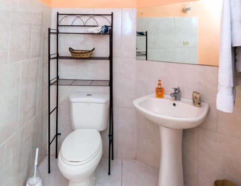 Apartment, 1 Bedroom, Kitchenette | Bathroom | Shower, free toiletries, hair dryer, towels