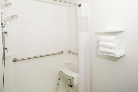 Room, 1 King Bed, Accessible | Bathroom shower