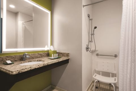 Premier Room, 1 King Bed with Sofa bed, Accessible (Sofa Sleeper) | Bathroom | Combined shower/tub, designer toiletries, hair dryer, towels