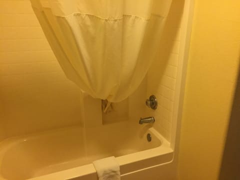 Combined shower/tub, free toiletries, hair dryer, towels