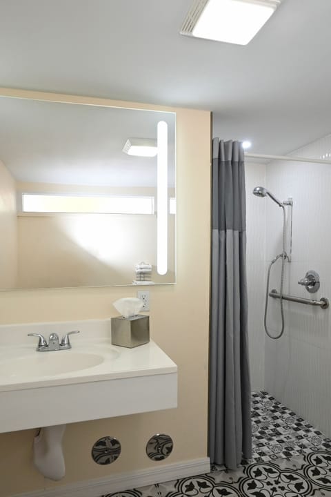 Premium Room, 1 King Bed, Patio, Pool View, Accessible | Bathroom | Shower, free toiletries, hair dryer, towels