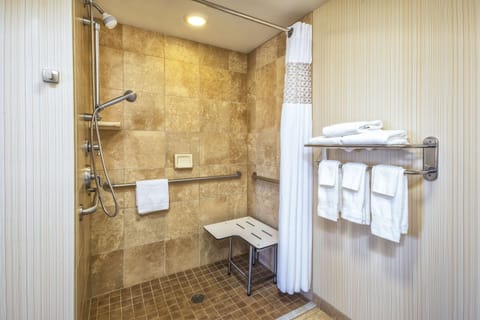 Combined shower/tub, free toiletries, hair dryer, towels